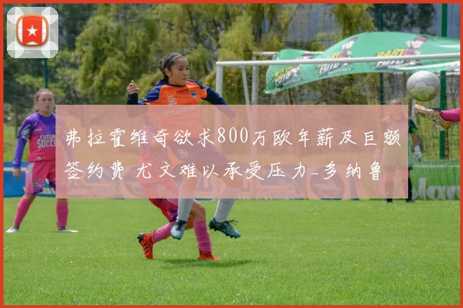 弗拉霍维奇欲求800万欧年薪及巨额签约费 尤文难以承受压力_多纳鲁马_欧元_赛季